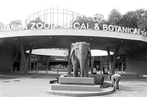 manila zoo tickets|Bukas na ang Bagong Manila Zoo! Register and book your tickets .